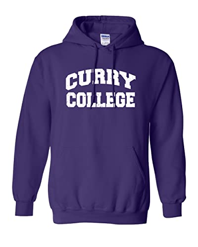 Curry College Block Letters Hooded Sweatshirt - Purple