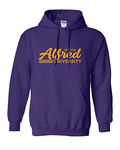 Vintage Alfred University Hooded Sweatshirt - Purple