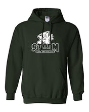 Load image into Gallery viewer, Lake Erie College Storm Hooded Sweatshirt - Forest Green
