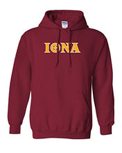 Load image into Gallery viewer, Iona University Iona Logo Hooded Sweatshirt - Cardinal Red
