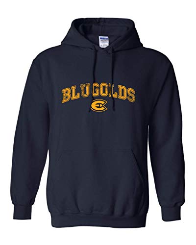Wisconsin Eau Claire Blugolds Arched One Color Hooded Sweatshirt - Navy