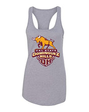 Load image into Gallery viewer, Cal State Dominguez Hills Ladies Tank Top - Heather Grey
