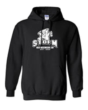 Load image into Gallery viewer, Lake Erie Storm Est 1856 Hooded Sweatshirt - Black
