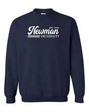 Load image into Gallery viewer, Vintage Newman University Crewneck Sweatshirt - Navy
