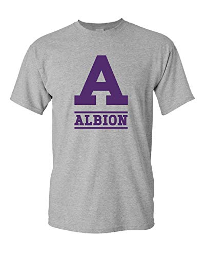 Albion College One Color Purple A T-Shirt - Sport Grey