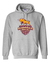 Load image into Gallery viewer, Cal State Dominguez Hills Hooded Sweatshirt - Sport Grey
