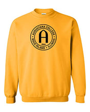 Load image into Gallery viewer, Augustana College Rock Island Crewneck Sweatshirt - Gold
