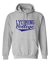 Load image into Gallery viewer, Lycoming College Hooded Sweatshirt - Sport Grey
