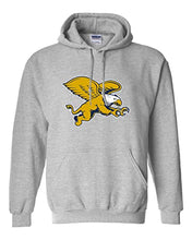 Load image into Gallery viewer, Canisius College Full Color Hooded Sweatshirt - Sport Grey
