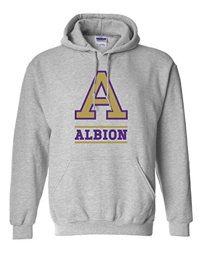 Albion College 2 Color A Hooded Sweatshirt | Albion Britons Student and Alumni Mens/Womens Hoodie - Sport Grey