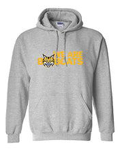 Load image into Gallery viewer, Quinnipiac University We Are Bobcats Hooded Sweatshirt - Sport Grey
