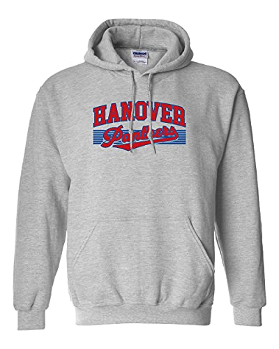 Hanover Panthers Retro Two Color Hooded Sweatshirt - Sport Grey