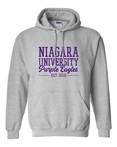 Vintage Niagara University Hooded Sweatshirt - Sport Grey