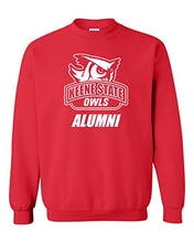 Load image into Gallery viewer, Keene State College Alumni Crewneck Sweatshirt - Red
