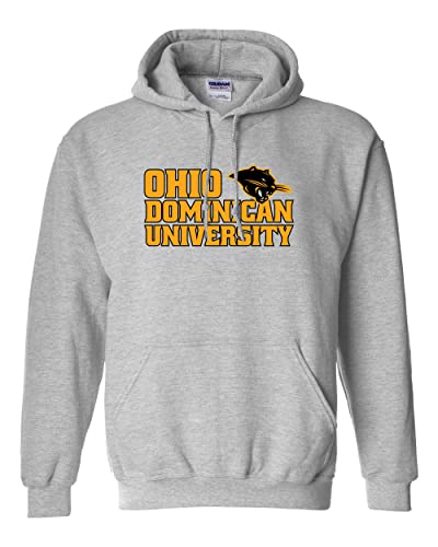 Ohio Dominican University Two Color Hooded Sweatshirt - Sport Grey