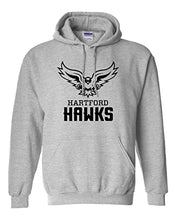 Load image into Gallery viewer, University of Hartford Hawks Hooded Sweatshirt - Sport Grey
