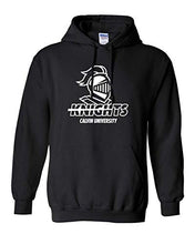 Load image into Gallery viewer, Premium Calvin University 1 Color Knights Adult Hooded Sweatshirt - Black
