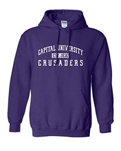 Load image into Gallery viewer, Capital University Vintage Hooded Sweatshirt - Purple
