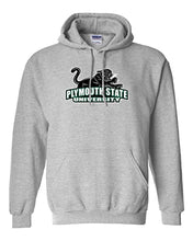 Load image into Gallery viewer, Plymouth State University Mascot Hooded Sweatshirt - Sport Grey
