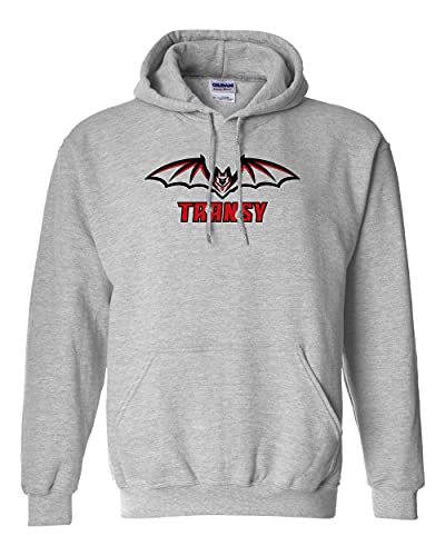 Transylvania Transy Logo Hooded Sweatshirt - Sport Grey
