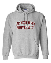 Load image into Gallery viewer, Gwynedd Mercy University Hooded Sweatshirt - Sport Grey
