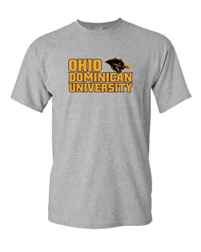Ohio Dominican University Two Color T-Shirt - Sport Grey