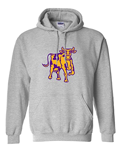 Williams College Ephelia Hooded Sweatshirt - Sport Grey