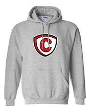 Load image into Gallery viewer, Carthage College Full Shield Hooded Sweatshirt - Sport Grey
