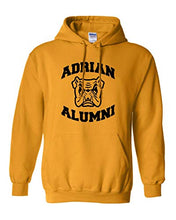 Load image into Gallery viewer, Adrian College Alumni Stacked Black Logo Hooded Sweatshirt - Gold
