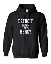 Load image into Gallery viewer, Detroit Mercy Stacked One Color Hooded Sweatshirt - Black
