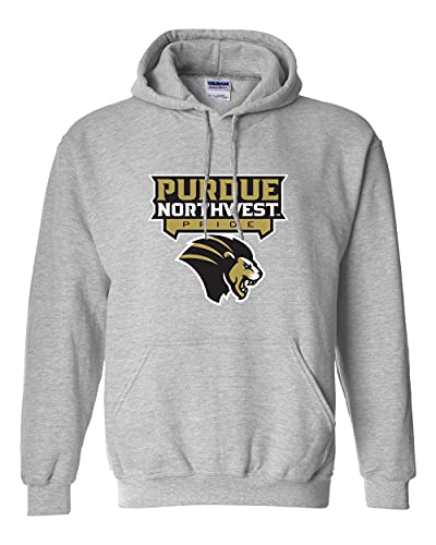 Purdue Northwest Pride Three Color Logo Hooded Sweatshirt - Sport Grey